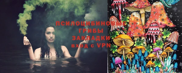 мяу мяу мука Верхний Тагил