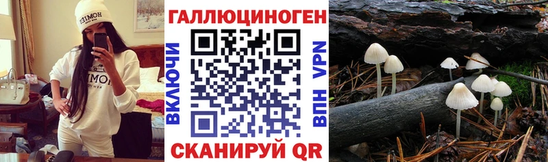 Галлюциногенные грибы MAGIC MUSHROOMS  Сочи 