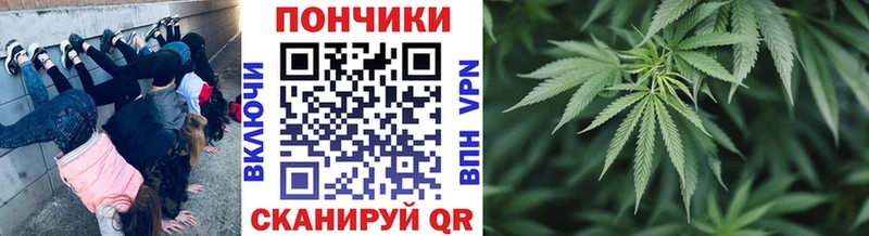 Марихуана White Widow  OMG ссылка  shop наркотические препараты  Сочи 